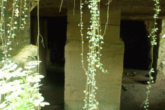 W_FR_08_Dom-Le-Mesnil-Carrieres_20140501_05