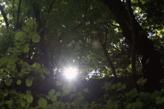 W_FR_08_Dom-Le-Mesnil-Carrieres_20140501_06