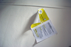 08_ESNAM_20150724_24