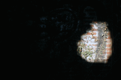 FR_08_LaMacerienne_2015_06