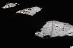 W_FR_08_Longwyacieries_20140609_05