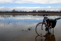 16_Charente_deborde_10