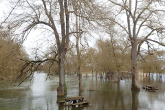 16_Charente_deborde_19
