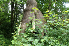 29_JurassikPark_25