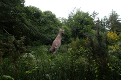 29_JurassikPark_34