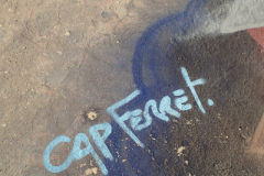 2018_capferret002
