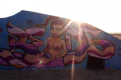 2018_capferret005