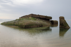 2018_capferret013