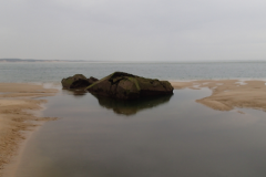 2018_capferret022