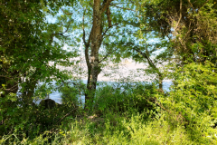 2025_Frisco_03