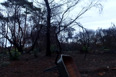 33_Campings_du_Pilat_25