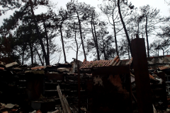 33_Campings_du_Pilat_33