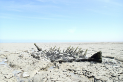 35_Cancale_03