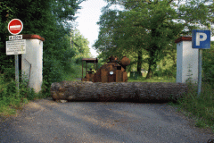 46_Salmiere_20090330