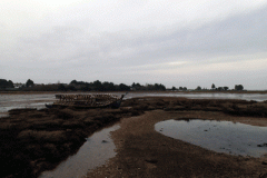 FR_56_Arz_201512_20