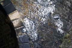 2011_Petite_Ceinture_Montsouris_15