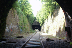 2011_Petite_Ceinture_Montsouris_19