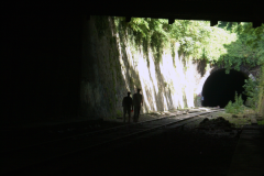 2011_Petite_Ceinture_Montsouris_32