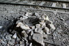 2011_Petite_Ceinture_Montsouris_38