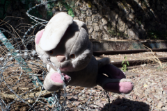 2011_Petite_Ceinture_Montsouris_44