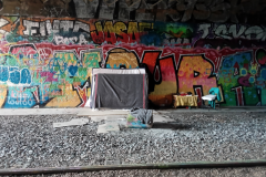 2025_Porte_Orleans_20