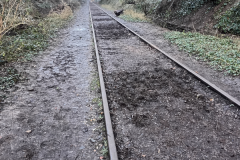 2025_Porte_Orleans_29