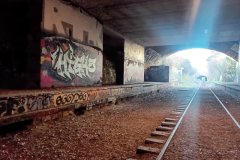 2025_Porte_Orleans_40