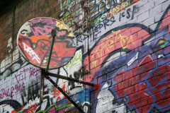 2011_Petite_Ceinture_Vincennes_13