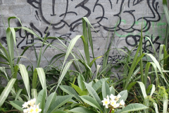 974_LaReunion_2018_11