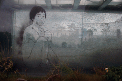 TW_UFOHouses_20090928_21